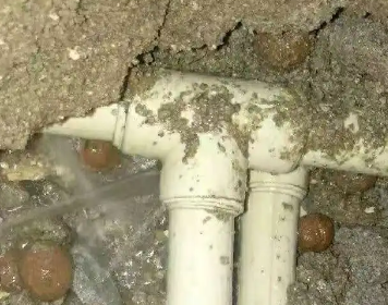 长阳测漏水多少钱